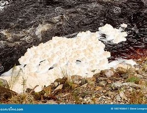 What is that foam that I see on the lake surface